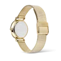 reloj daniel wellington dorado
