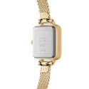 Relojes daniel wellington pequeños.