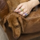 Anillo LUXENTER SIBKA
