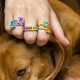 Anillo LUXENTER SIBKA