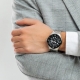 CASIO 100M