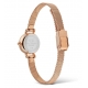 Daniel Wellington PETITE MINI