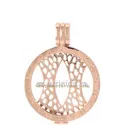 SOPORTE EN PLATA CHAPADO EN ORO ROSA "MI MONEDA"