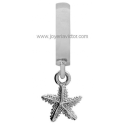 CHARM PLATA ENDLESS