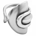 Anillo CICLÓN SINGULAR