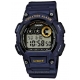 Casio COLLECTION