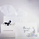 Pendientes LUXENTER SEDAE