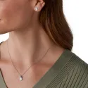 Conjunto FOSSIL 