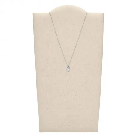 Conjunto FOSSIL 