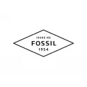 Conjunto FOSSIL 