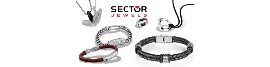 Joyeria Sector
