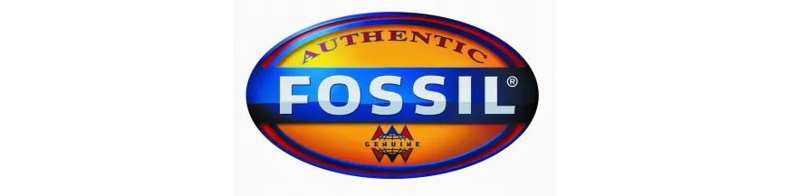 Relojes Fossil