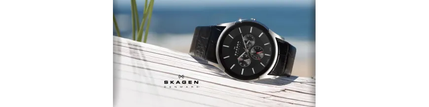 Skagen HOMBRE