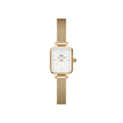 Relojes daniel wellington pequeños.