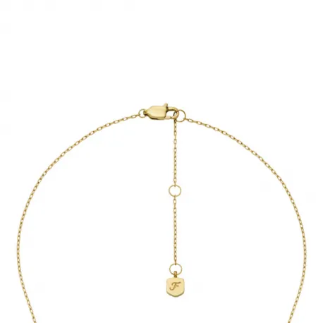 Collar FOSSIL MERRIT CLASSIC MOTHER OF PEARL