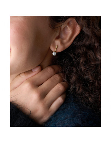 Pendientes FOSSIL SHAKY GLITZ ELLIS JF4897710