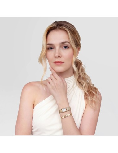 Daniel Wellington BOUND MINI EVERGOLD DW00100928