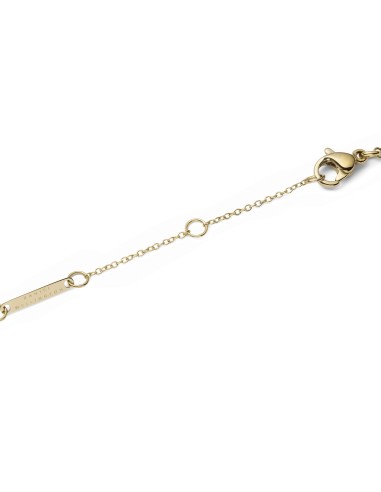 Collar DANIEL WELLINGTON AUDREY MOTHER OF PEARL GOLD DW00401441