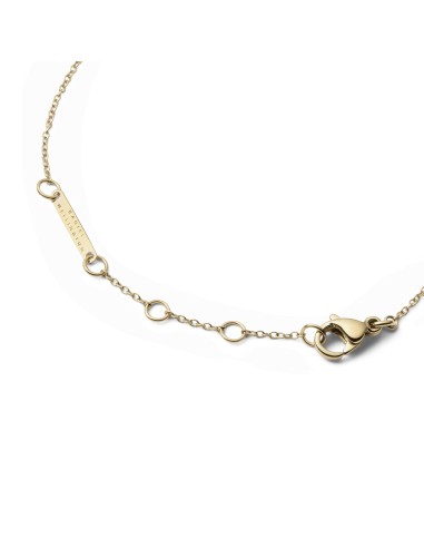 Pulsera DANIEL WELLINGTON AUDREY MOTHER OF PEARL GOLD DW00401423