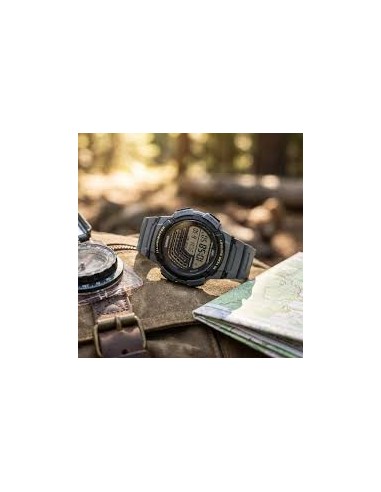 Reloj CASIO COLLECTION WS-1800-3AVEF