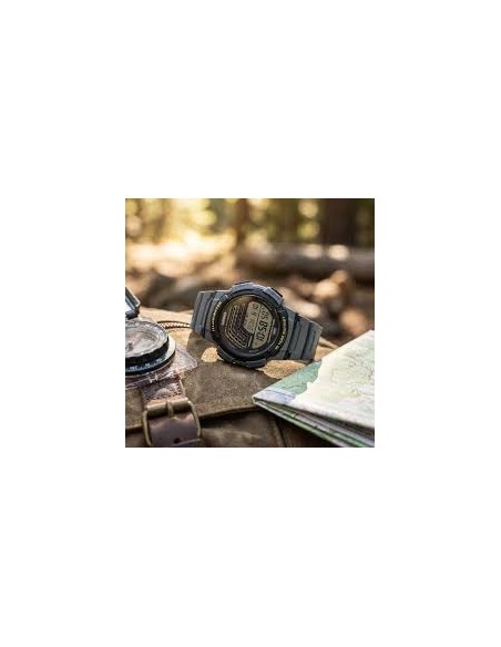 Reloj CASIO COLLECTION WS-1800-3AVEF