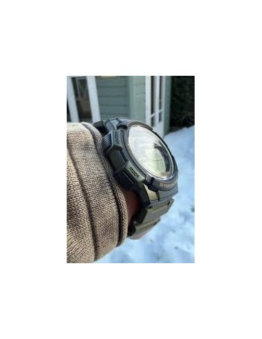 Reloj CASIO COLLECTION WS-1800-3AVEF