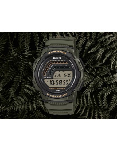 Reloj CASIO COLLECTION WS-1800-3AVEF