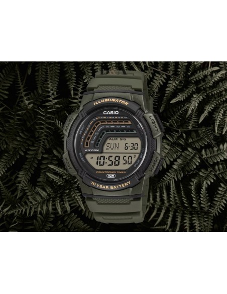 Reloj CASIO COLLECTION WS-1800-3AVEF