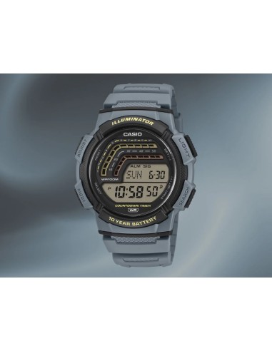 Reloj CASIO COLLECTION WS-1800-2AVEF