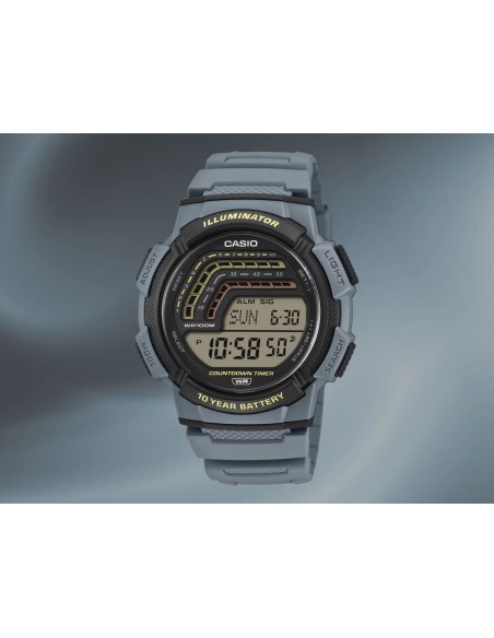 Reloj CASIO COLLECTION WS-1800-2AVEF