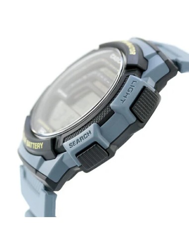 Reloj CASIO COLLECTION WS-1800-2AVEF