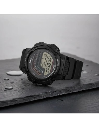 Reloj CASIO COLLECTION WS-1800-1AVEF