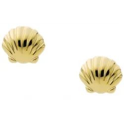 Pendientes FOSSIL BY THE SHORE 2